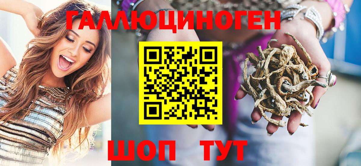 Галлюциногенные грибы прущие грибы  Вход с VPN  Карачаевск 