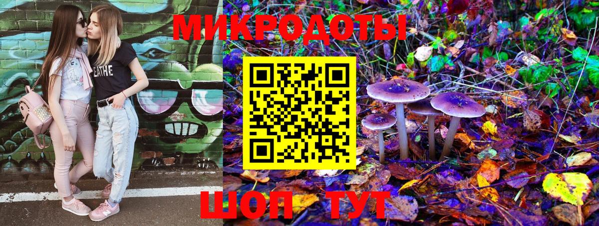 Галлюциногенные грибы MAGIC MUSHROOMS Карачаевск